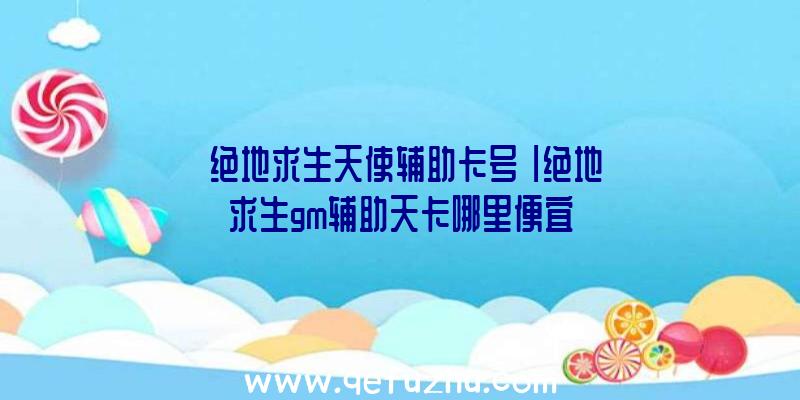 「绝地求生天使辅助卡号」|绝地求生gm辅助天卡哪里便宜